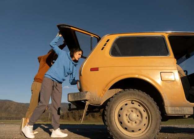 Check Brake Fluid Levels and Condition