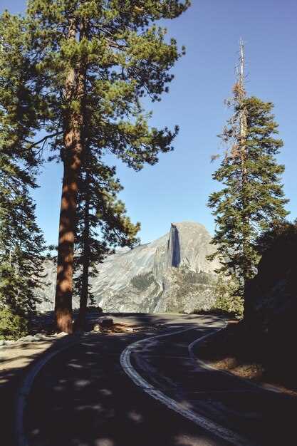 Best Motorcycle Scenic Drives with Breathtaking Views