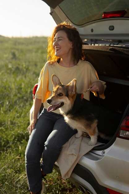 Adjusting to Life on the Road: Tips for Pets and Owners
