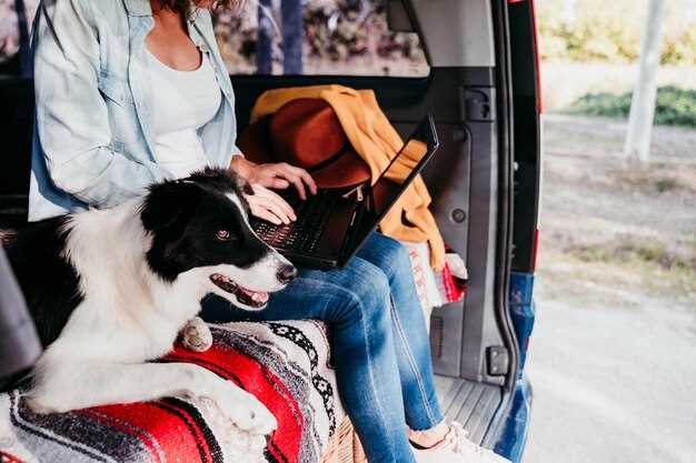 Selecting the Right Motorcycle Trailer for Your Pet